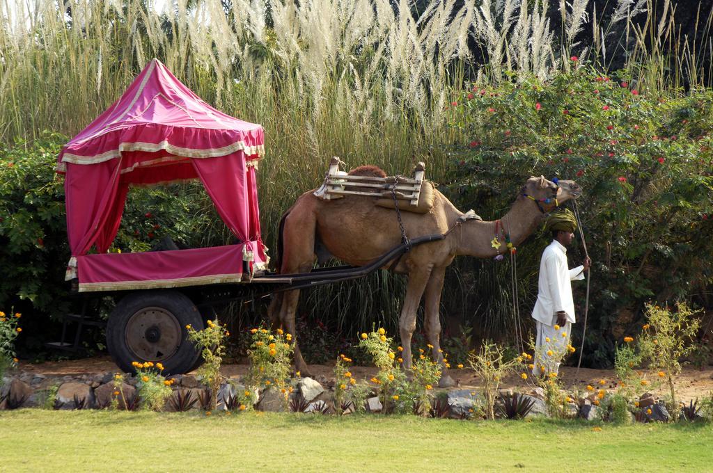 Pushkar Resort Luaran gambar