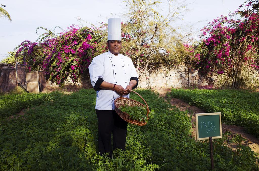 Pushkar Resort Luaran gambar