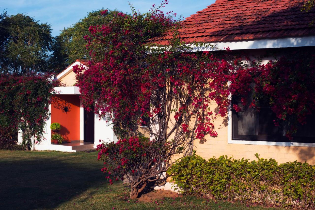 Pushkar Resort Luaran gambar