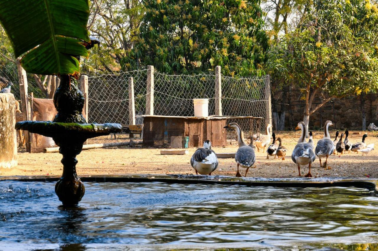 Pushkar Resort Luaran gambar